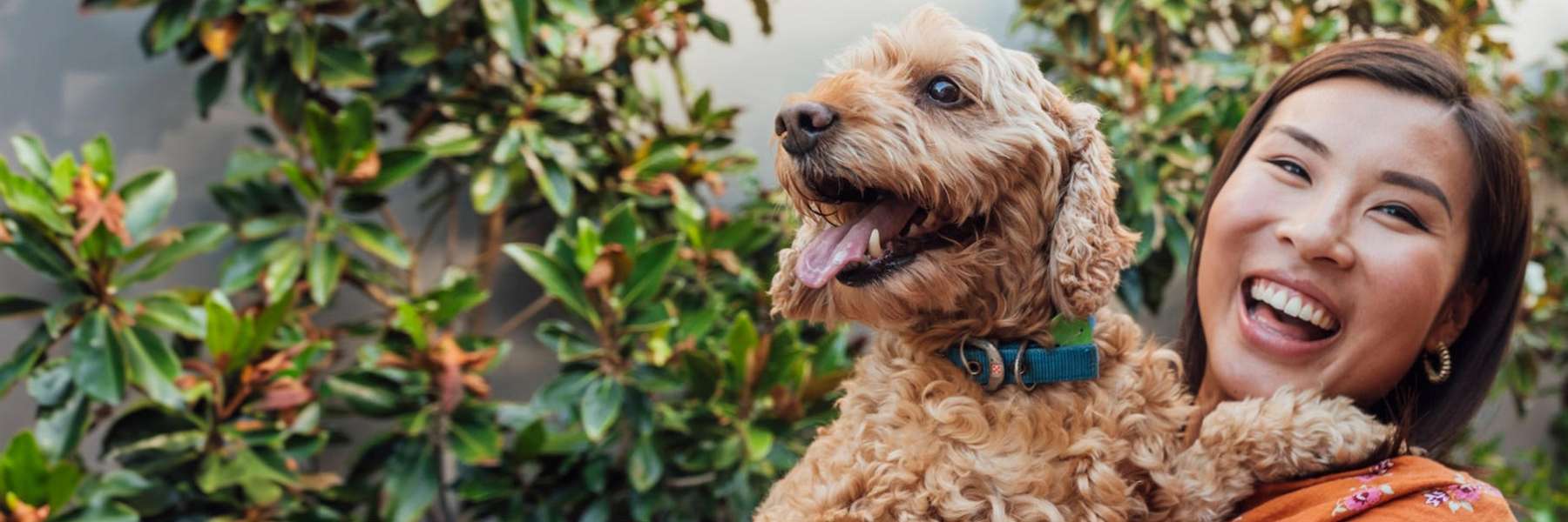 Cosmetic Dentistry | Dentist